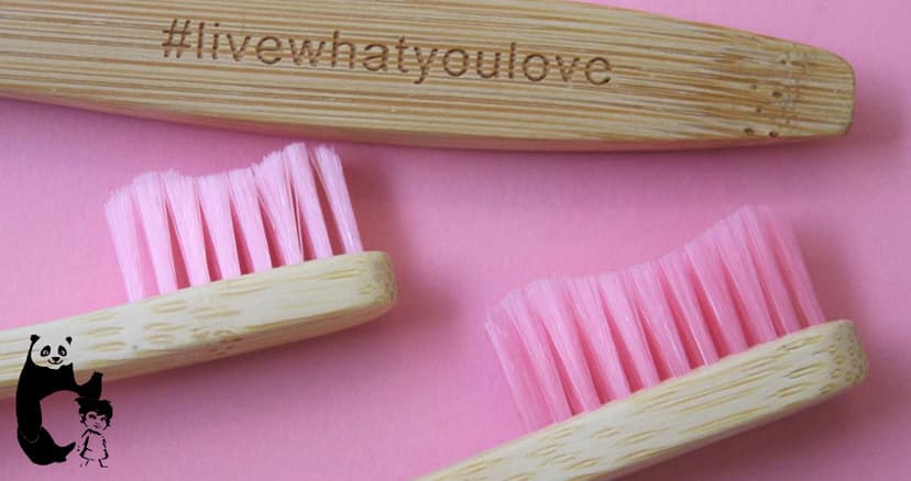 The Bam & Boo Toothbrush 2